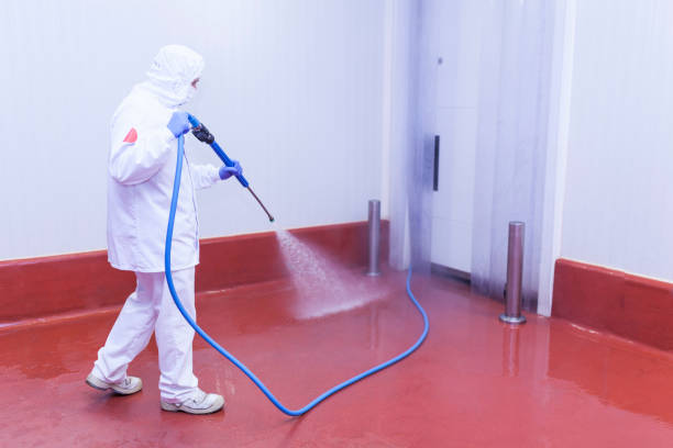 Best Spring Cleaning  in Lake Jackson, TX