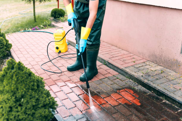 Best Dumpster Area Cleaning  in Lake Jackson, TX