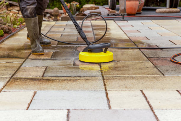 Best Dumpster Area Cleaning  in Lake Jackson, TX