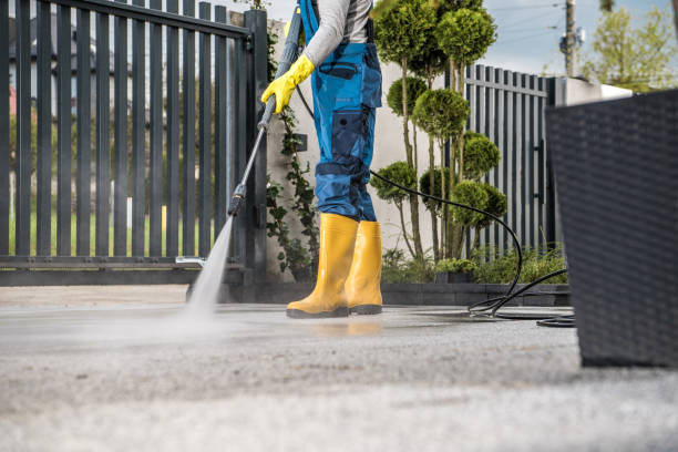 Best Sidewalk and Walkway Cleaning  in Lake Jackson, TX