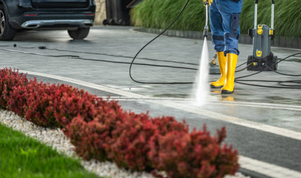 Best Patio and Deck Pressure Washing  in Lake Jackson, TX